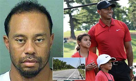 tiger woods claims dui arrest was because of medication daily mail online