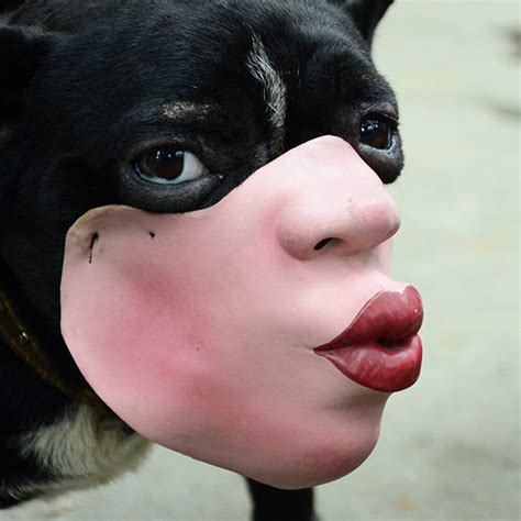 Human Face Masks The Creepiest Dog Muzzles Ever
