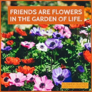 And, you know, choose genuine friends who will be there. 57 Flower Quotes To Appreciate Their Beauty | Greeting ...