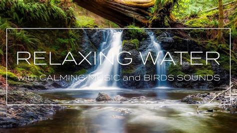 Relaxing Water Sounds Calm Sleep Music Birds Sounds Meditation Music Nature Waterfall Sounds