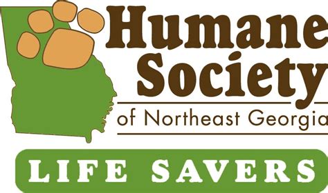 Humane Society, Hall County Animal Shelter seek input on animal ...
