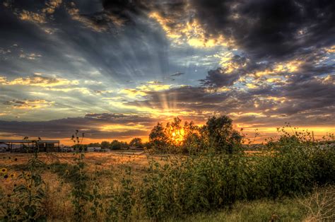 A desktop wallpaper is highly customizable, and you can give yours a personal touch by adding your images (including your photos from a camera) or download beautiful pictures from the internet. Phoenix SEO | We Help You Rank on Google ⭐⭐⭐⭐⭐
