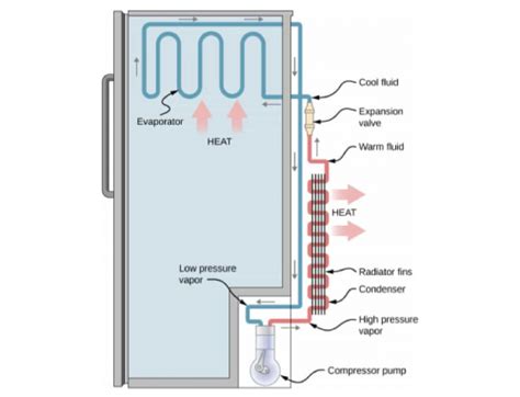 Refrigerator Freon Leak Detect And Fix In Under 20 Minutes