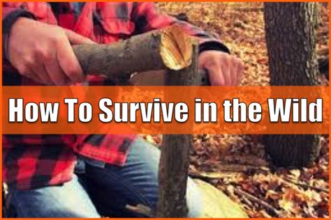 How To Survive In The Wild Survival Tips
