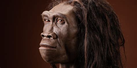 New Study Identifies Last Known Occurrence Of Extinct Human Ancestor