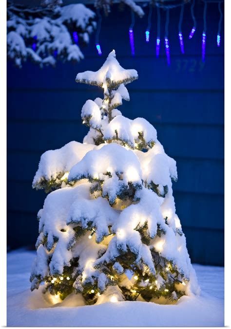 Poster Print Wall Art Entitled Snow Covered Christmas Tree