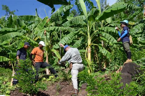 The gross domestic product (gdp) in comoros was worth 1.22 billion us dollars in 2020, according to official data from the world bank. Earthquake and Landslides in the Union of the Comoros