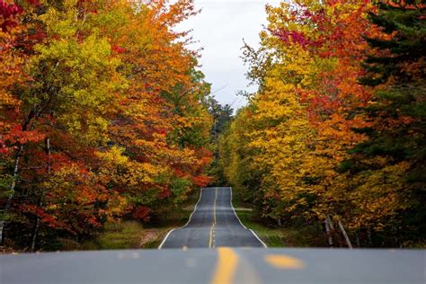 12 Best Places To See Maine Fall Foliage Where To Go For Fall 2023