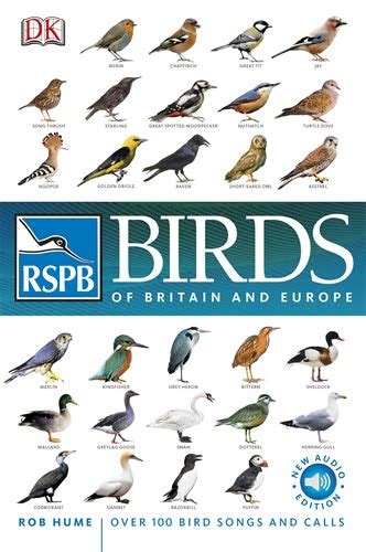 Shetland Wildlife Photo Blog Rspb Birds Of Britain And Europe