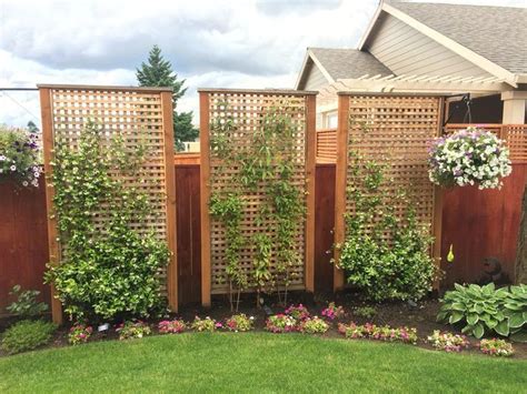 Awasome Fence Trellis Ideas For Privacy References