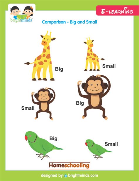 Big And Small Comparison Bright Minds Elearning Platform