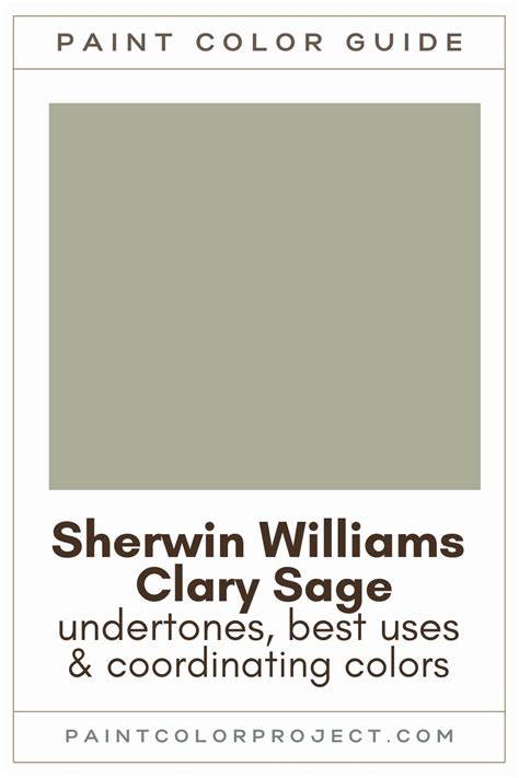 Sherwin Williams Clary Sage A Complete Paint Color Review The Paint