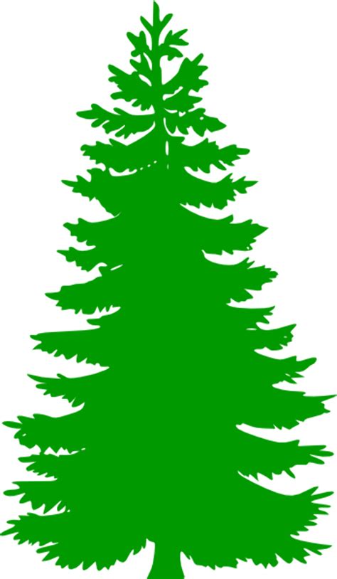 Download High Quality Pine Tree Clip Art Realistic Transparent Png
