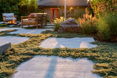 11 Grass Alternative Ideas For Your Backyard Environmental Designs