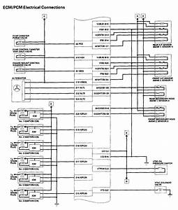 1996 Honda Accord Ecu Wiring Diagram Wiring Diagram