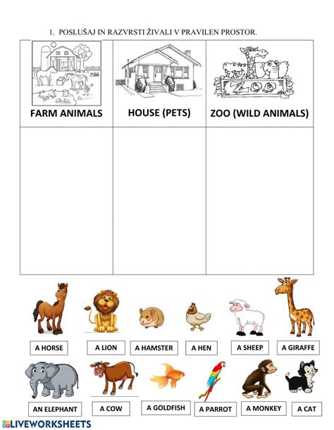Ejercicio De Animals Pet Farm Zoo
