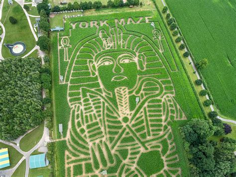 Revealed The Spectacular Design For The York Maze 2023 Yorkmix