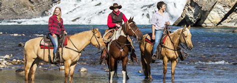 Banff Horseback Riding Discover Banff Tours