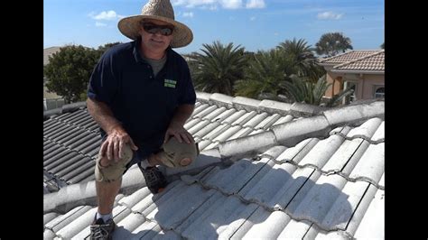 Maybe you would like to learn more about one of these? ROOF CLEANING COMPANY WEST PALM BEACH GARDENS BOCA 502 ...