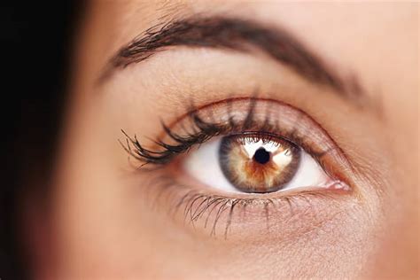 Hazel Eyes Stock Photos Pictures And Royalty Free Images Istock