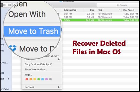 How To Recover Deleted Files In Mac Slashdigit