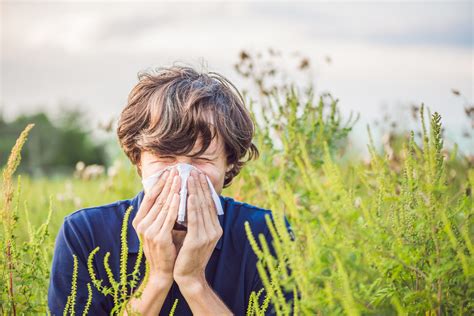 Summer Allergies What Are They Molekule Blog