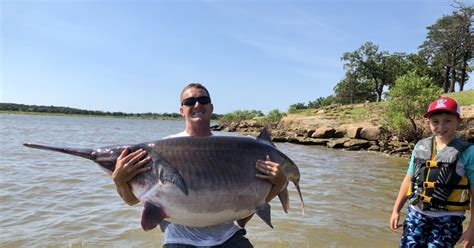 Oklahoma Man Catches Record Breaking Paddlefish On Keystone Lake