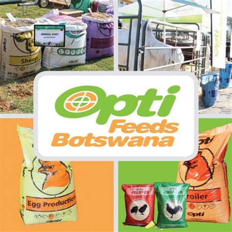 Opti Feed Botswana Pty Ltd Gaborone Botswana Contact Phone Address