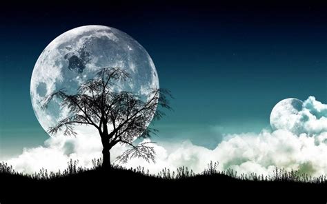Free Download Moonlight Night Hd Wallpapers 1280x781 For Your Desktop