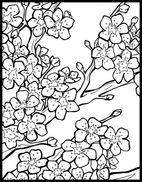 This colouring page provides a picture of the tree, blossom, leaf and fruit detail for children to colour in. Cherry Blossom Coloring Pages | Flower coloring pages ...