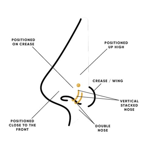 Where To Pierce Your Septum Diagram