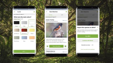Help Identifying Birds Great Backyard Bird Count
