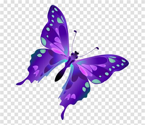 Borboleta Png Transparent Png Is Pure And Creative Png Image Uploaded