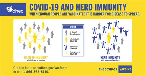 Herd Immunity Covid 19 Scdhec