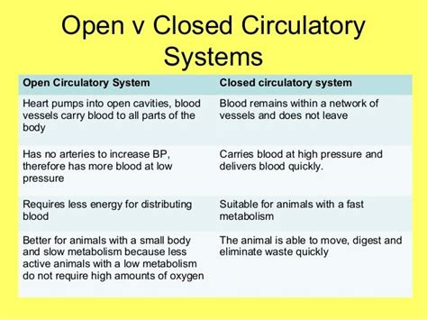 What Is A Closed Circulatory System