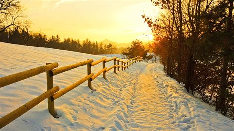 🌌beautiful Winter Snow Scene Calming Piano Music For Relaxing
