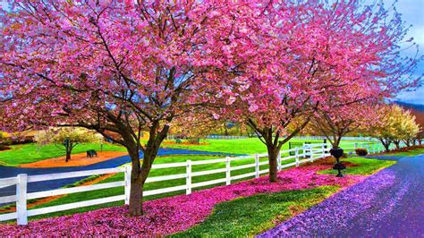 46 Beautiful Spring Nature Desktop Wallpaper On Wallpapersafari