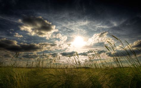 1920x1080 Resolution Grass Fields Under Cloudy Skies Hd Wallpaper