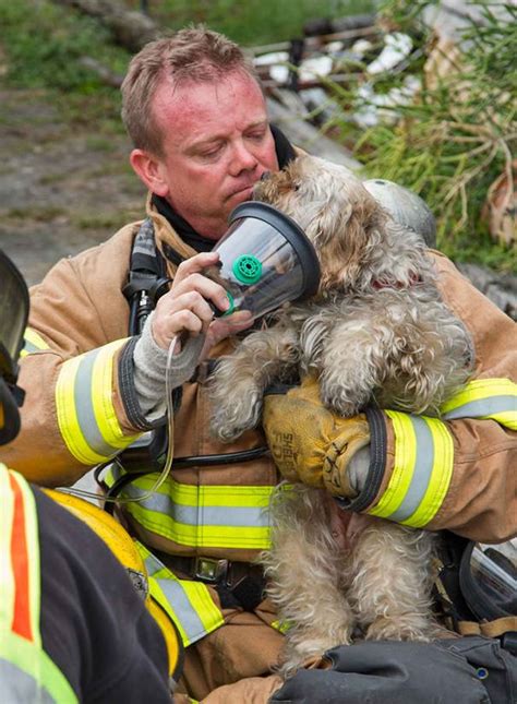 15 Bewegende Bilder Von Feuerwehrleuten Die Ihr Leben Riskieren Um