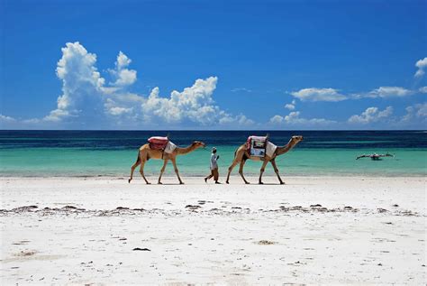 10 Best Beaches In Kenya Guide Prices And Weather [2024]