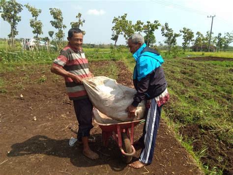 Lowongan kerja lowongan kerja pertanian terbaru juli 2021. Loker Pertanian Ngawi : Ocdd X5rcv9xrm : Pupuk organik ...