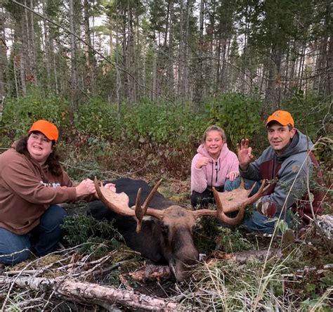 Maine Moose Hunting At Conklins Lodge And Camps