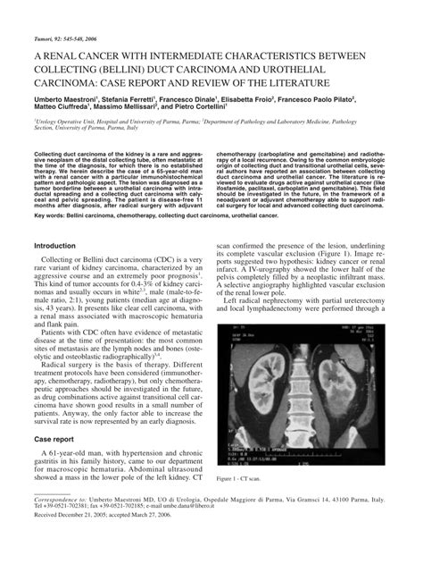 Pdf A Renal Cancer With Intermediate Characteristics Between