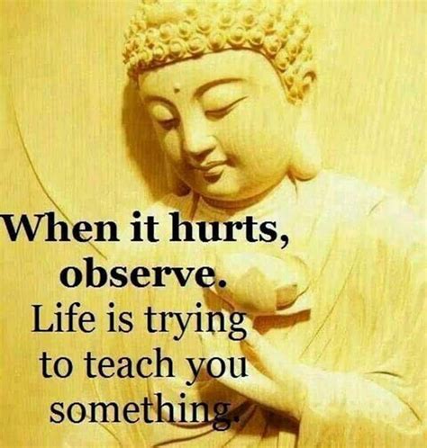 We did not find results for: 56 Buddha Quotes to Reignite Your Love — TailPic