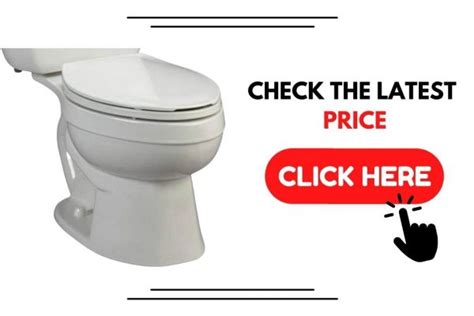 American Standard Titan Toilet Review 2022 Things You Should Know