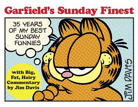 Garfields Sunday Finest 35 Years Of My Best Sunday Funnies Walmart