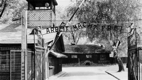 More Teachers Need Holocaust Training Say Mps Bbc News