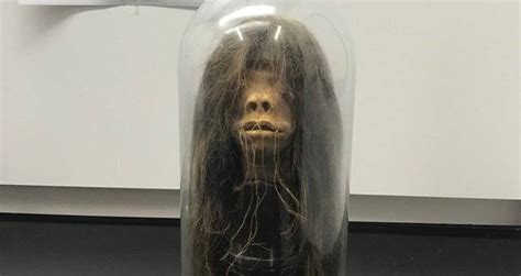 Shrunken Head Used As A 1970s Movie Prop Revealed To Be Real