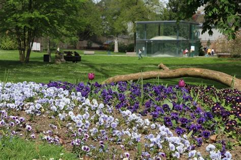 VIDEO. Parcs et jardins du Mans : Tessé mélange la culture et la nature