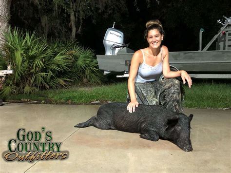 Thermal Hog Hunts Florida Night Hog Hunting